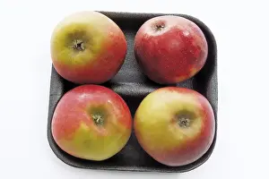 Studio Shot Fruits Stampe: Pack of red apples