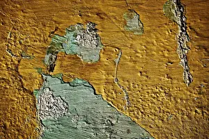 Plaster Wall Texture Stampe: Painted plaster wall texture