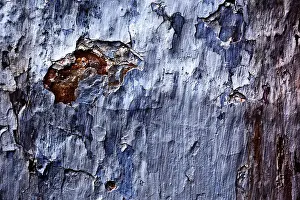 Close Up Plaster Wall Stampe: Painted plaster wall texture