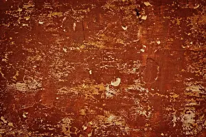 Plaster Wall Texture Stampe: Painted plaster wall texture