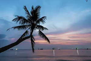 Pacific Ocean Landscape Photography Stampe: Palm tree at sunset, by the sea