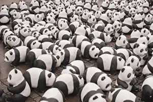 Stampe di Orso panda Amburgo Stampe: Orso panda