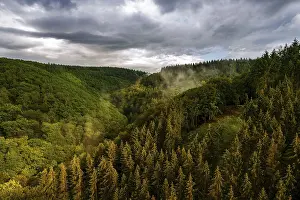 Foggy German Countryside Stampe: Panoramic view over the Eifel, Germany