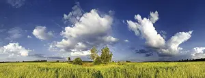 Bavaria Panorama Stampe: Panoramic view of meadows and some trees