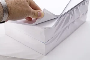 White Sheet Of Paper Stampe: Paper