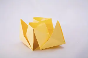 Indoor Studio Photography Stampe: Paper