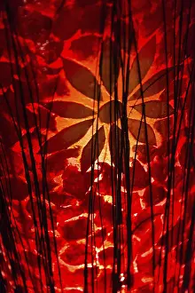 Decorative Item Photography Stampe: Paper lantern with pattern in detail