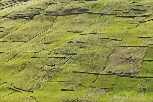 Faroe Islands Landscape Stampe: Parcels of land, fields, patchwork