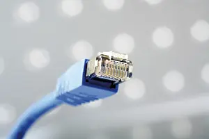 Computer Accessory Stampe: Patch cable