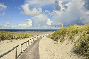 Lower Saxony Germany Stampe: Path to the bathing beach at Schoolpad