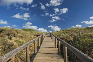Beach Holiday Stampe: Path through the dune landscape