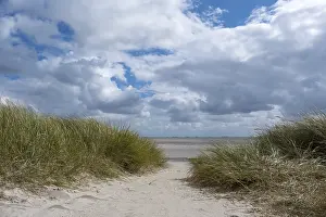 Deserted Beach Germany Stampe: Path through dunes to the beach