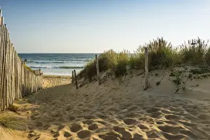 France Coast Stampe: Path through the dunes to the beach