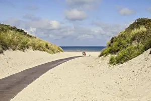 North Sea Shoreline Stampe: Path through the dunes to the beach