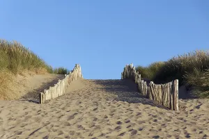 Deserted Beach Access Stampe: Path through dunes, beach access