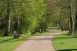 Southern Germany Uplands Scenery Stampe: Path, Park, Bench, Forest, Spring