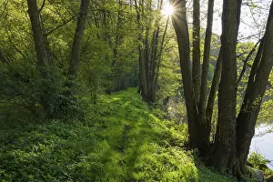 No People Waterfront Europe Stampe: path on riverside in spring with sun