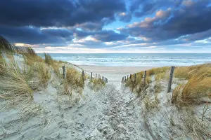 Warm Light On The Shoreline Stampe: Path on sand to beach at sunset