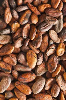 Appetizing Chocolate Dish Stampe: Pattern of the cocoa beans background, top view