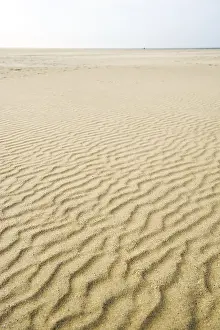 Deserted Coastline Scene Stampe: Pattern in the sand at the beach
