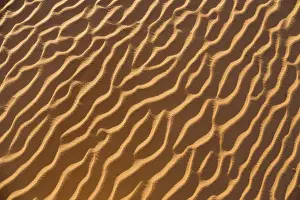 Desert Surface Texture Stampe: Patterns in the sand, Libyan Desert