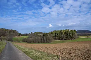 Deserted Road Stampe: Paved road cutting through spring fields