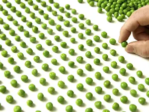 Quality Check Stampe: Pea counting