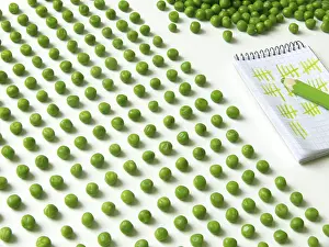 Quality Check Stampe: Pea counting