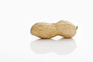 Legume Plant Stampe: A peanut