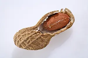 Peanut Nutrition Stampe: Peanut