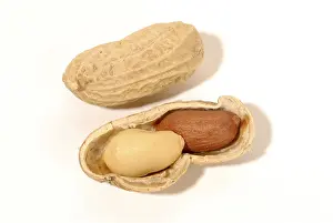 Peanut Nutrition Facts Stampe: Peanuts