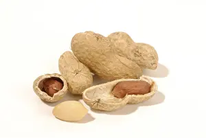 Close Up Peanuts Stampe: Peanuts