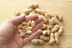 Peanut Nutrition Facts Stampe: Peanuts