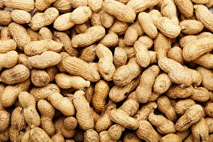 Studio Shot Of Nuts Stampe: Peanuts