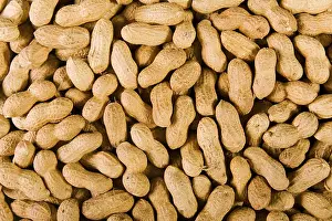 Healthy Eating Images Stampe: Peanuts