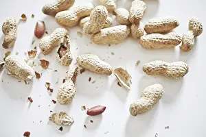 Plant Life Outdoors Stampe: Peanuts