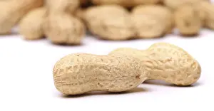 Legume Plant Images Stampe: Two peanuts in closeup on the peanut background