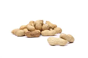 Legume Plant Stampe: Two peanuts in closeup on the peanut background