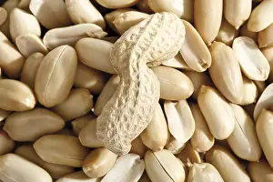 Food Photography Studio Background Stampe: Peanuts, full format