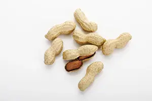 Peanut Nutrition Stampe: Peanuts, one of them opened