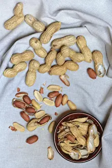 Studio Shot Peanuts Stampe: Peanuts in shell, partially opened, Germany