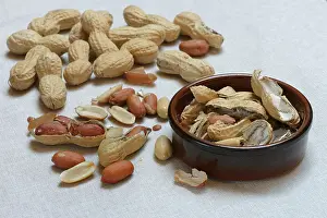 Studio Shot Peanuts Stampe: Peanuts in shell, partially opened, Germany