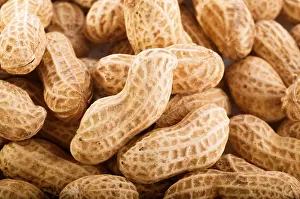Studio Shot Peanuts Stampe: Peanuts with shells