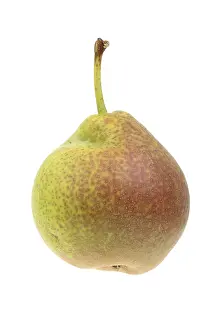 Studio Background Food Image Stampe: Pear