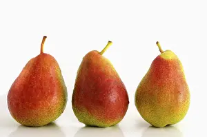Fresh Pears Stampe: Three pears