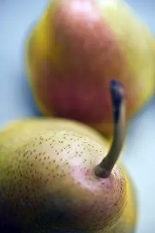 Studio Shot Fruits Stampe: Pears