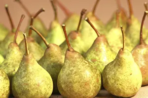 Fruit Arrangement Stampe: Pears