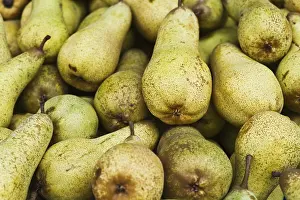 Healthy Fruits Stampe: Pears