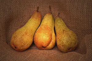 Full Length Food Photography Stampe: Three pears on jute sack