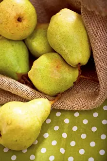 Fresh Pears Stampe: Pears on a table